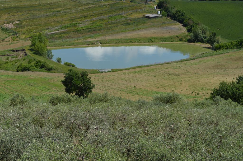 מרשאנו B&B La Casa Fra Gli Olivi מראה חיצוני תמונה